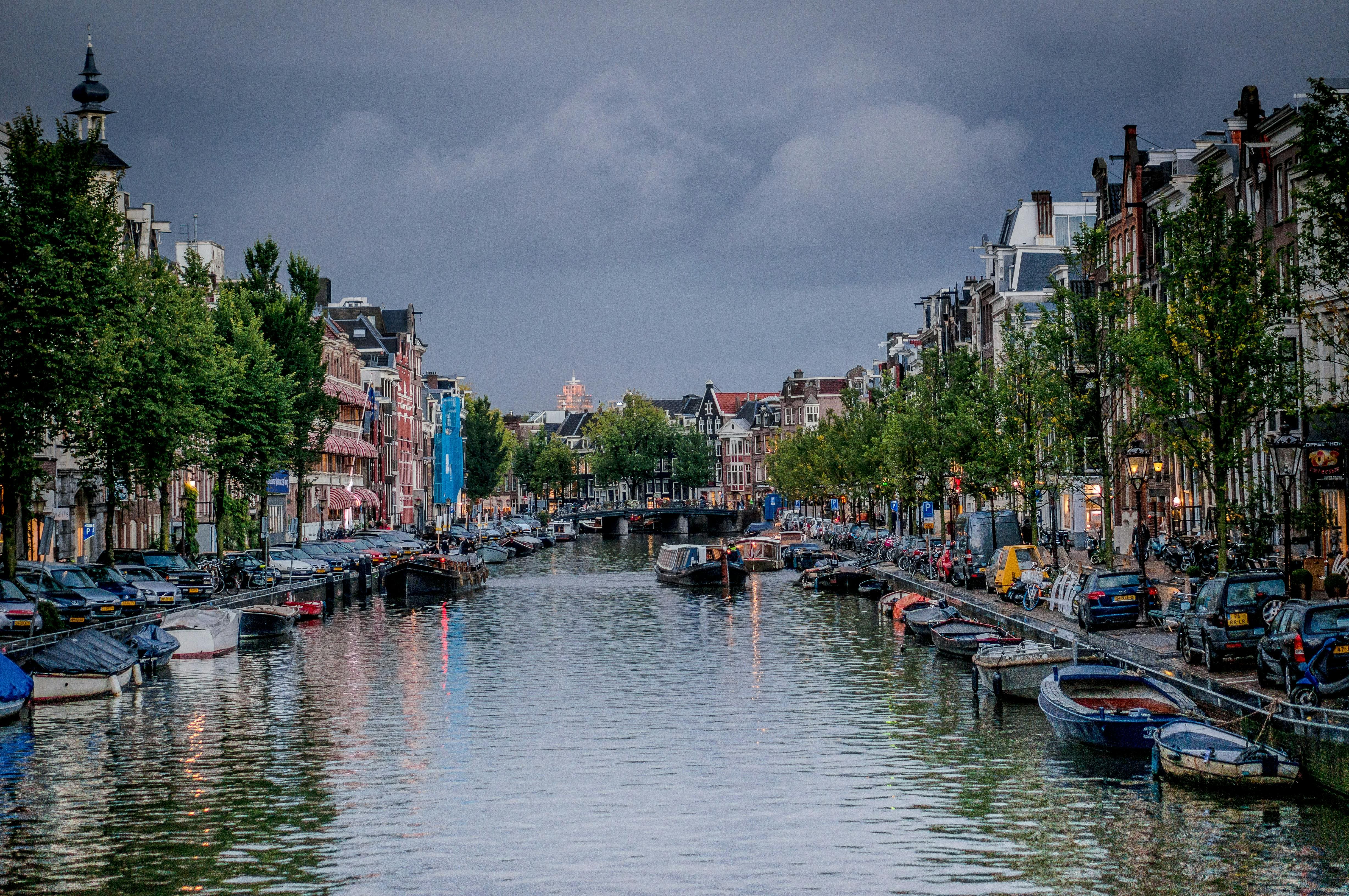 Food scene in Amsterdam
